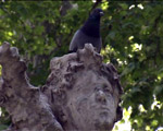 AGRANDIR